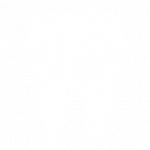 Odontología Integral 4