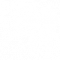 Odontología Integral 6